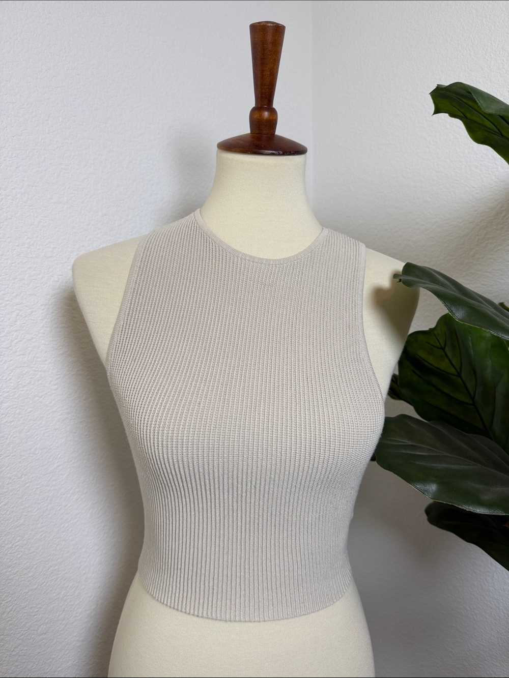 Aritzia Ribbed Knit Crew Neck
